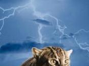 Emission Janvier 2019 (Speciale 1999 2eme partie)