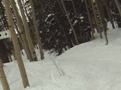 pistes schizophréniques Canyons