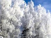 notes jeudi Saison d’hiver Piotr Tchaïkovski