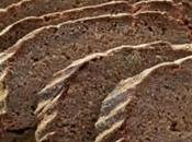 Pain châtaigne thermomix