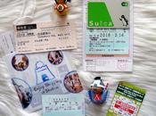 Japon toutes bonnes astuces pour préparer voyage