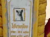 Nakhon Ratchasima,un chien temple pour l'éternité
