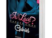 agendas (Re)découvrez Love Gabriel d'Angel Arekin