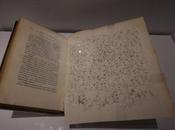 Sigmund Freud, Regard l’Ecoute