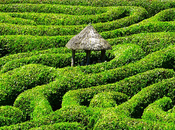 France traine l'expérience client