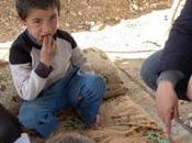 Syrie dormir dehors nuits glaciales camp Al-Hol