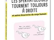 spermatozoïdes tournent toujours droite