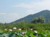 quoi sert poésie selon shivaïsme Cachemire