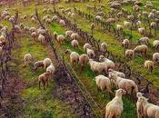 Coup Cœur Maison Fabre Côtes Provence