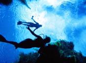 MILLENIUM Blue Karina Holden