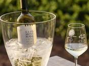 Vindredi: Découverte Concavins Clos Mont Blanc Conca Barbera 2018