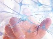 ALZHEIMER astrocytes rescousse