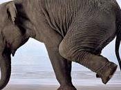 L'Eveil peut-il transmettre