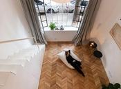 rénovation préserve sublime charme petit appartement Buenos Aires