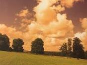 L'appel Fanny Wallendorf, chez Finitude