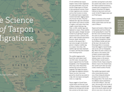 Magazine Pêche Mouche,