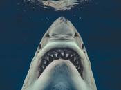 photo d’un grand requin blanc ressemble l’affiche Dents