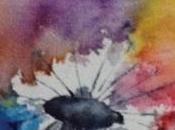 Exposition d’aquarelles Huningue (Haut-Rhin)