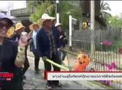 Thaïlande, Garfield cérémonie contre sécheresse