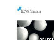 Fondation François Schneider- Juin Septembre 2019- exposition Céleste Boursier-Mougenot