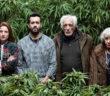 Family Business Jonathan Cohen vend weed pour Netflix