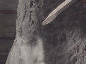 Revanche cheval fou, François Conod