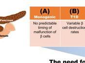 #trendsinmolecularmedicine #diabète #celluleß #bioimagerie Outils bio-imagerie cellules ß-pancréatiques dans diabète