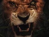 #Ecologie #LeRoiLion #LongueVieAuRoi #Disney moitié population lions d’Afrique disparu. temps d’agir