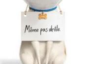 CINEMA Secret Life Pets (Comme bêtes Chris Renaud