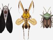 insectes sont personnages culture