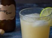 Ginger Beer maison facile Sandra Artisan Brasseur