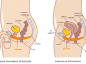 Georges bandaison peut commander