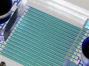 BIOPSIE LIQUIDE Chaque cellule peut être analysée