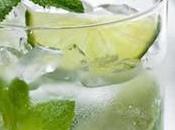 Recette mojito classique thermomix