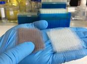 BIOFILM Nanotechnologie photonique pour prévenir