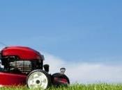 L'Épouse Deux Voisins