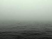 non-dualité percept concept