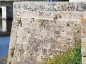 Chinon l’élégance gourmande France…