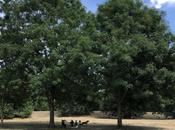 roman n’écrirai jamais