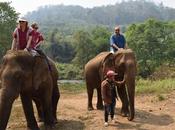 Thaïlande éléphants