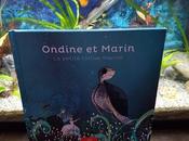 Ondine Marin petite tortue marine Editions Mémoires d'océans