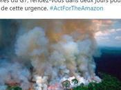 Amazonie bien pratique pour politique idiote Macron
