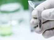 CANNABIS cannabidiol pour réduire l'agressivité