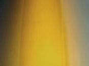 Sélection Foire Vins 2019