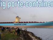 Divers porte-conteneurs cargo