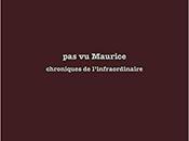 Maurice, chroniques l'infraordinaire Laurence Hugues