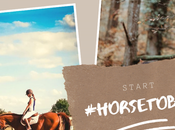 #Horsetober challenge photo équestre mois d’Octobre, retour