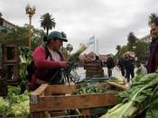 Circuit court Plaza Mayo [Actu]