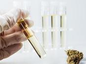 CANNABIS Comment calme effets