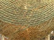 Maison objet, confirmations découvertes